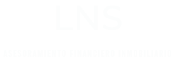 LNS Miami Logo